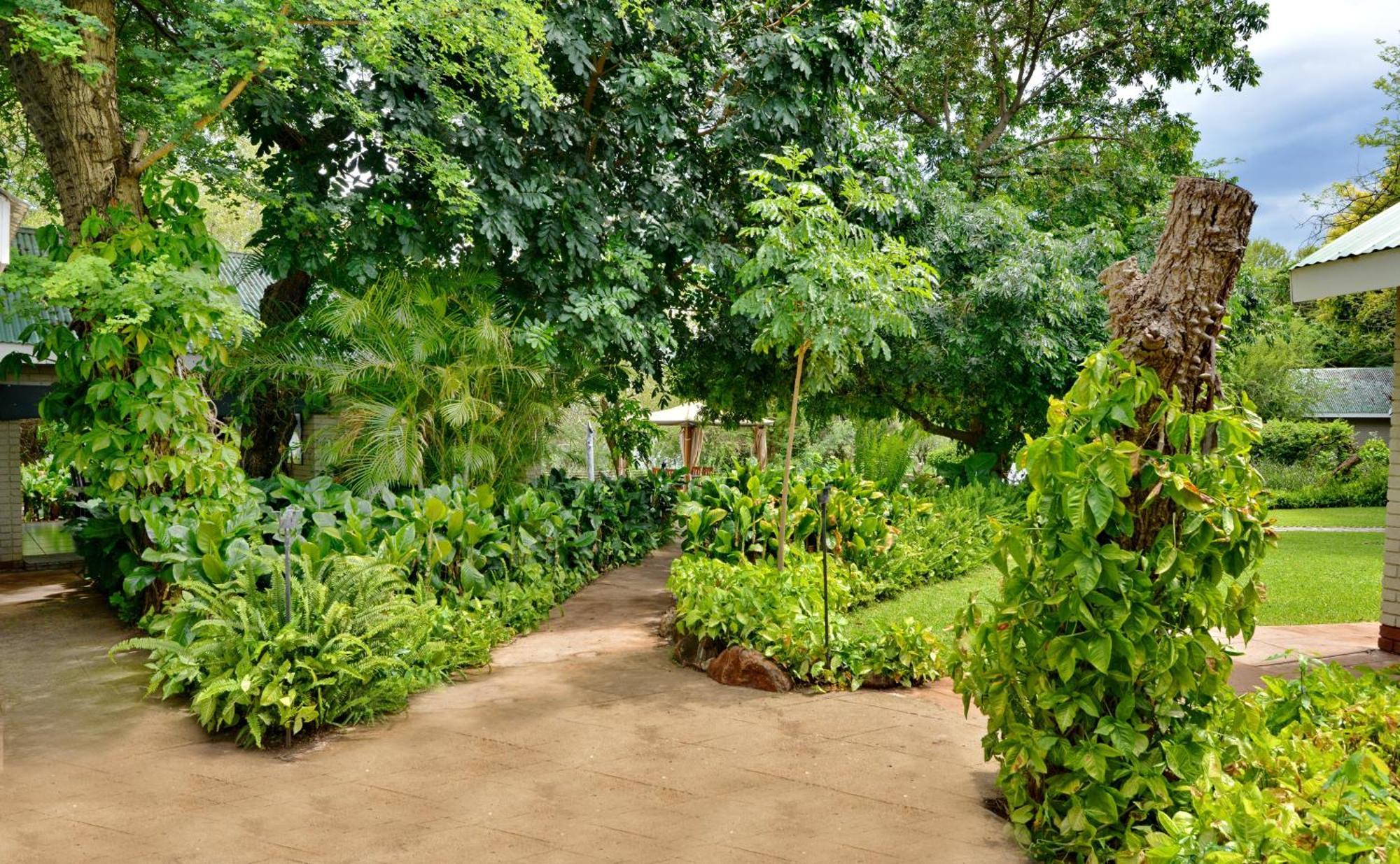 River View Lodge カサネ 部屋 写真